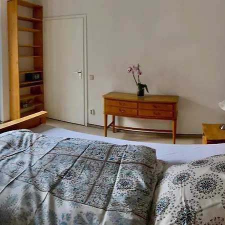Apartment Ruheoase Mitten Im Stadtzentrum / Belgisches Viertel