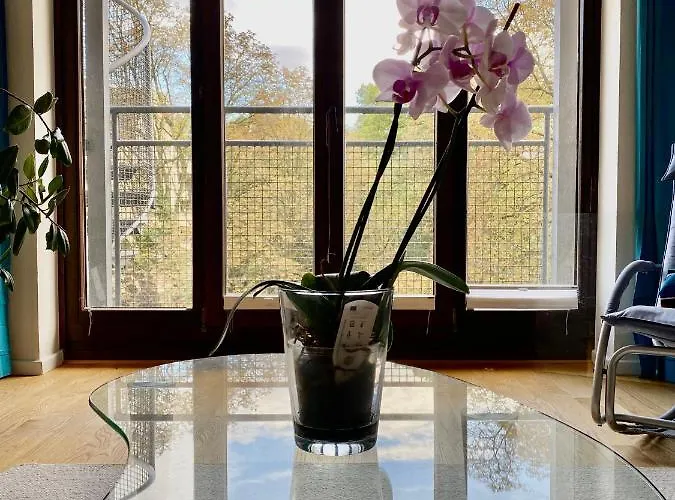 Ruheoase Mitten Im Stadtzentrum / Belgisches Viertel *